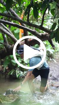 BIB:  <button type="button" onclick="openModal(27493026)" class="btn btn-primary btn-sm float-right" data-toggle="modal" data-target=".modal-high-quality">
                <i class="fa fa-download"></i> Download
                </button>